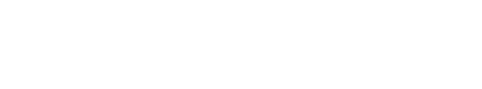 LDBS Insurance