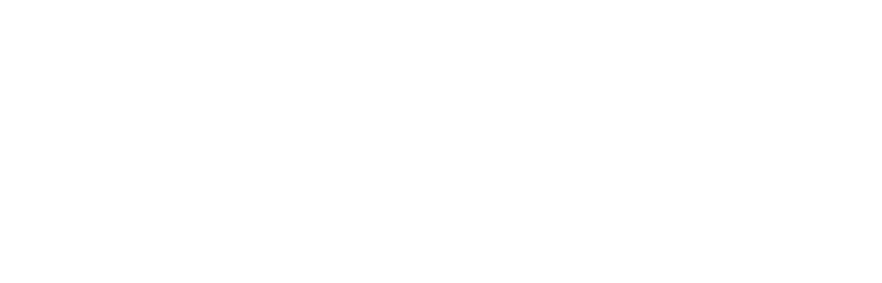 Van den Ende Foundation